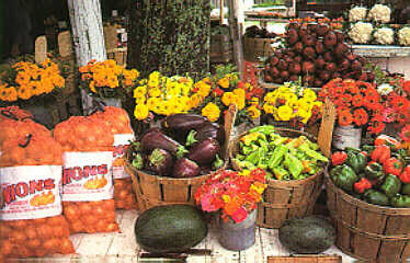 Produce from farm stands